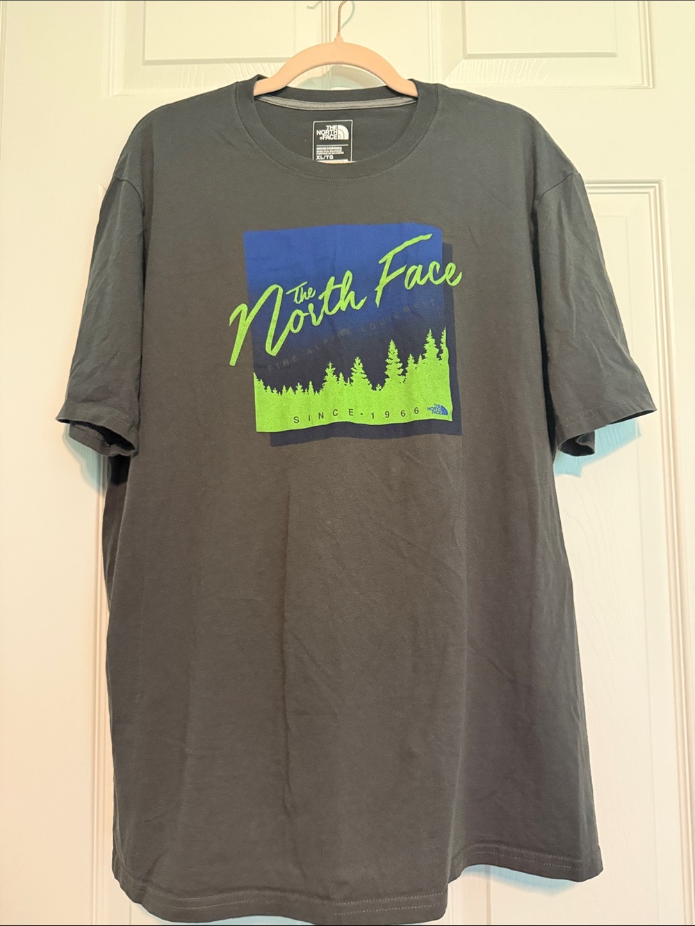 The North Face Charcoal Gray Tee with Blue & Neon Green Graphic